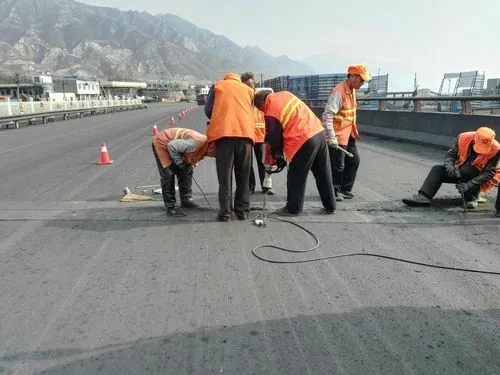 徐水道路桥梁病害治理